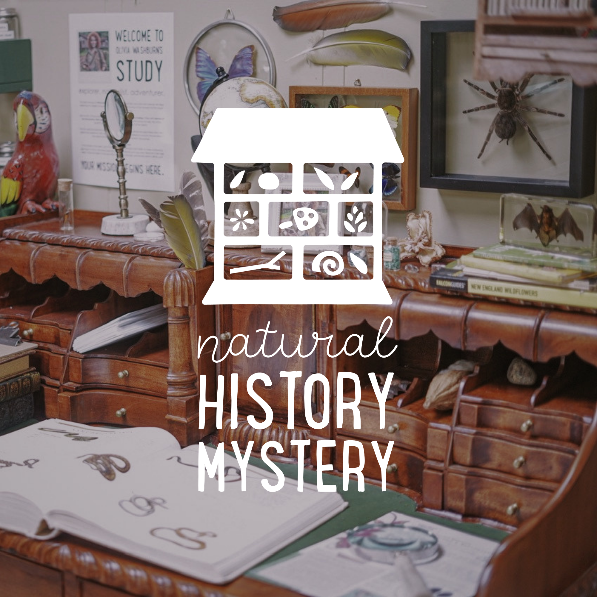 Natural History Mystery