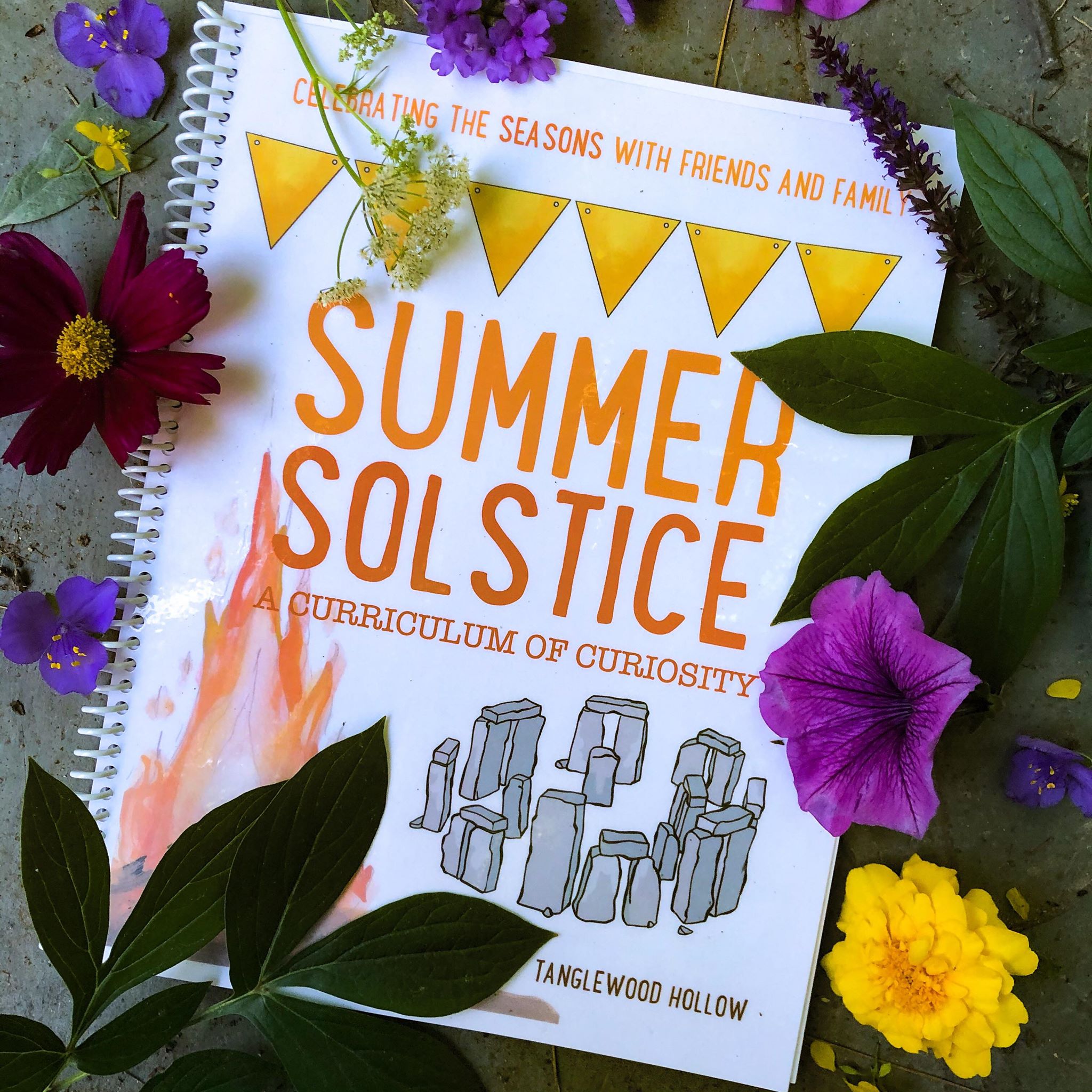 Summer Solstice: A Digital Curriculum of Curiosity