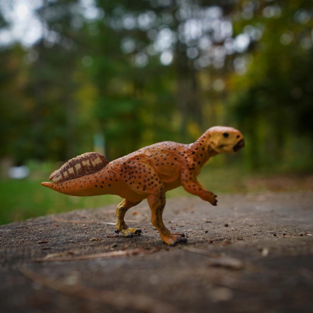 Psittacosaurus Pre-Historic Toy