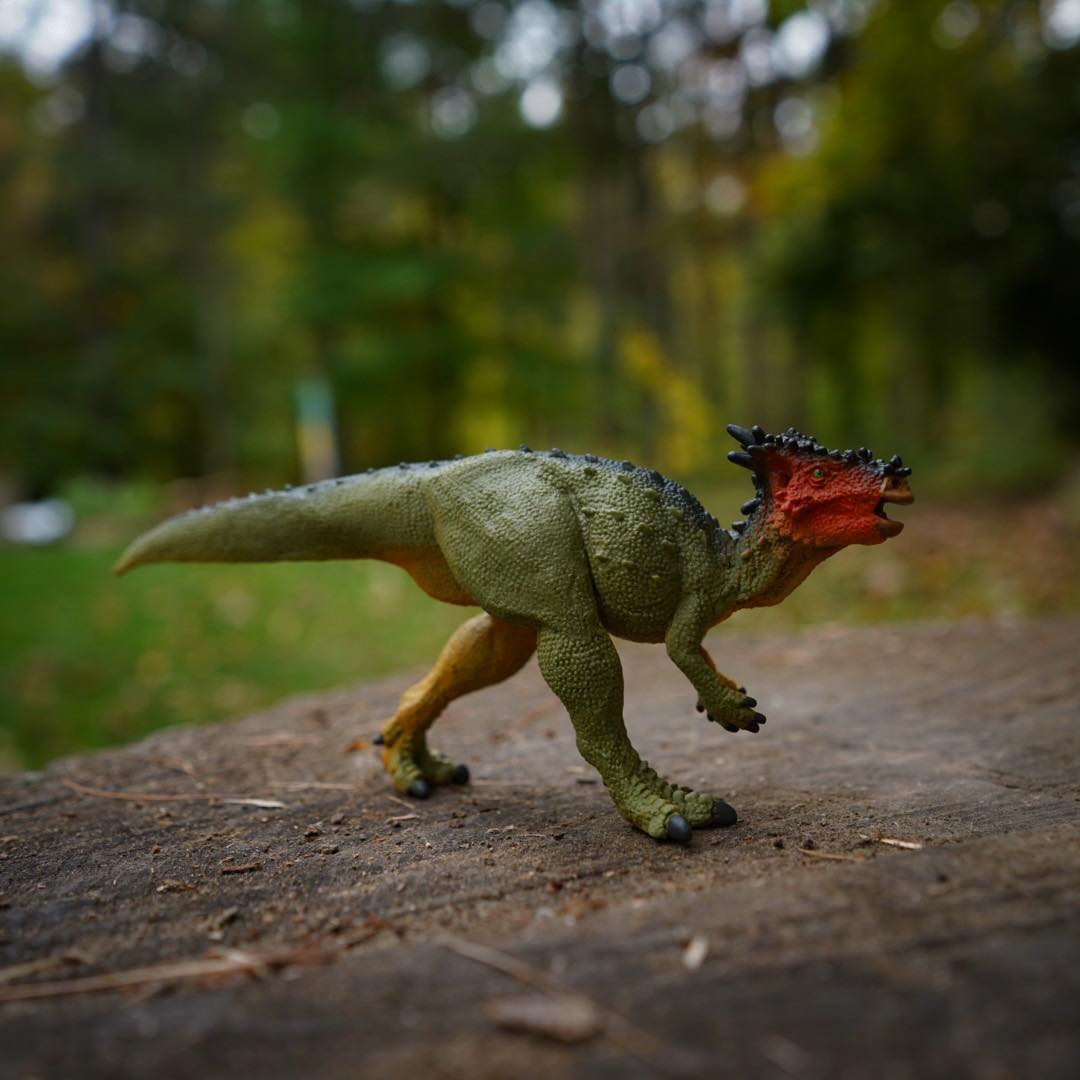 Dracorex Pre-Historic Toy