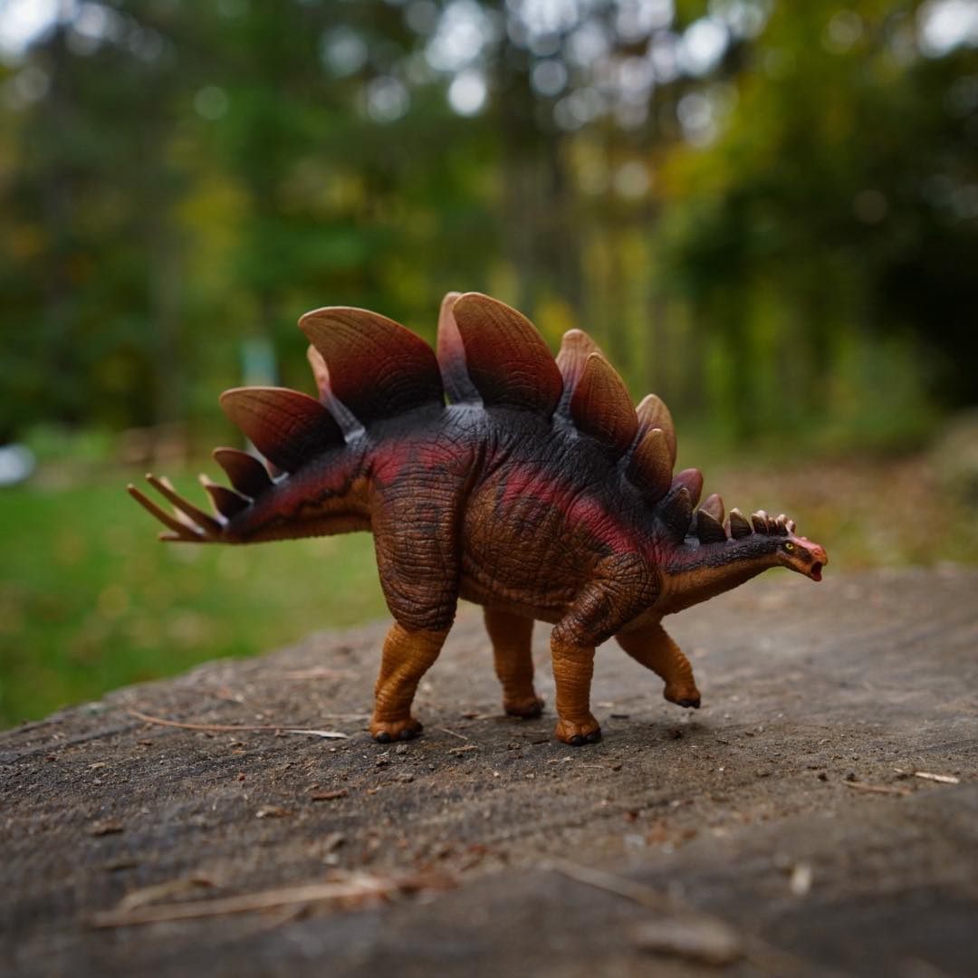Stegosaurus Pre-Historic Toy