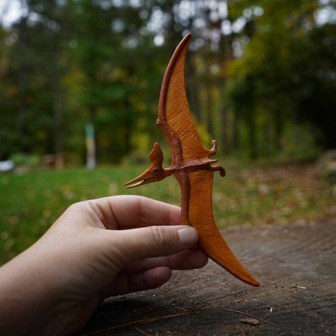 Pteranodon Pre-Historic Toy