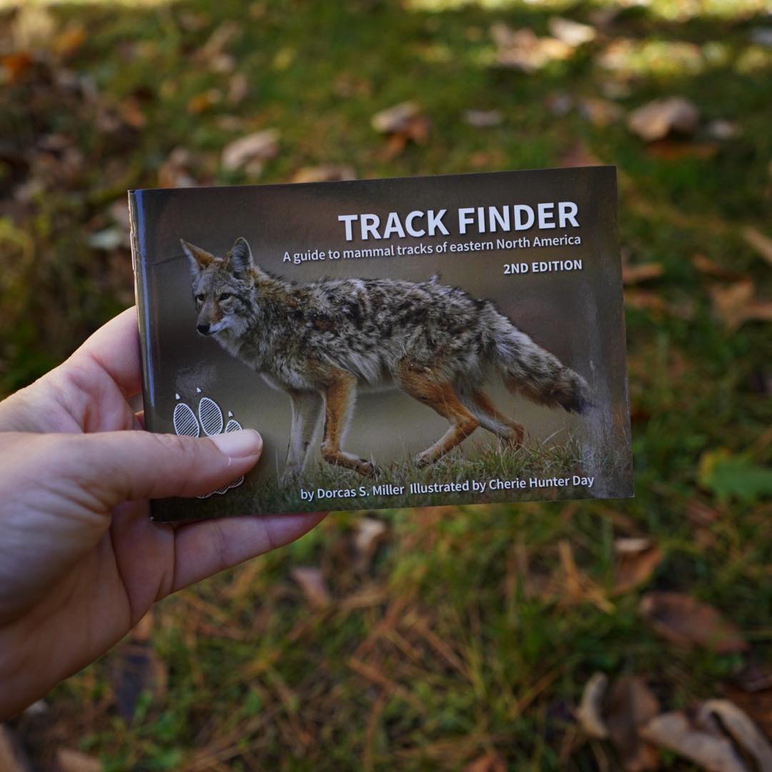 Track Finder: Eastern North America