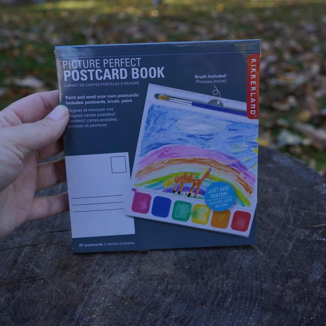 Picture Perfect DIY Postcards Book