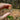 Bobcat Claw in Specimen Bottle