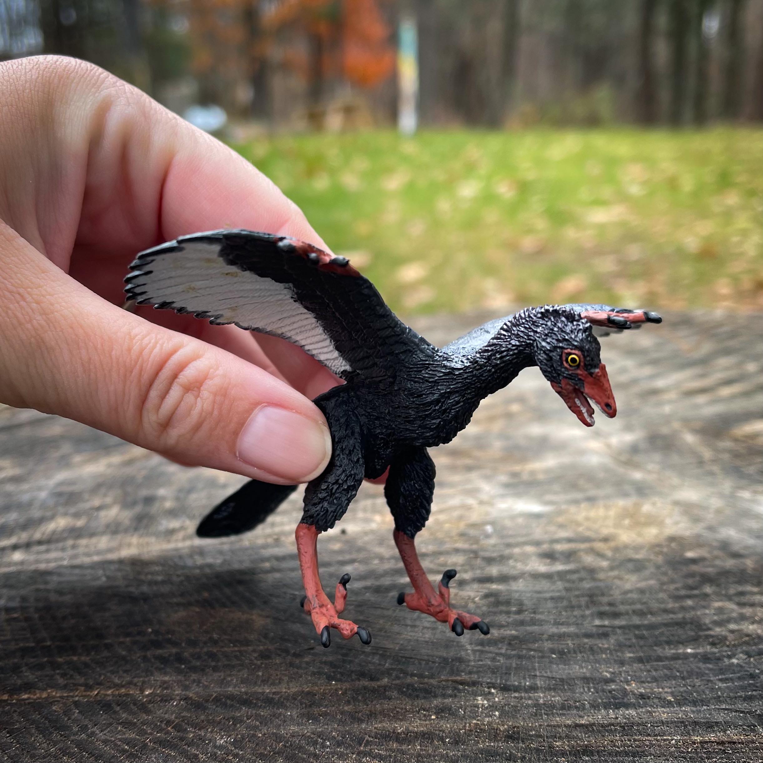 Archaeopteryx Pre-Historic Toy