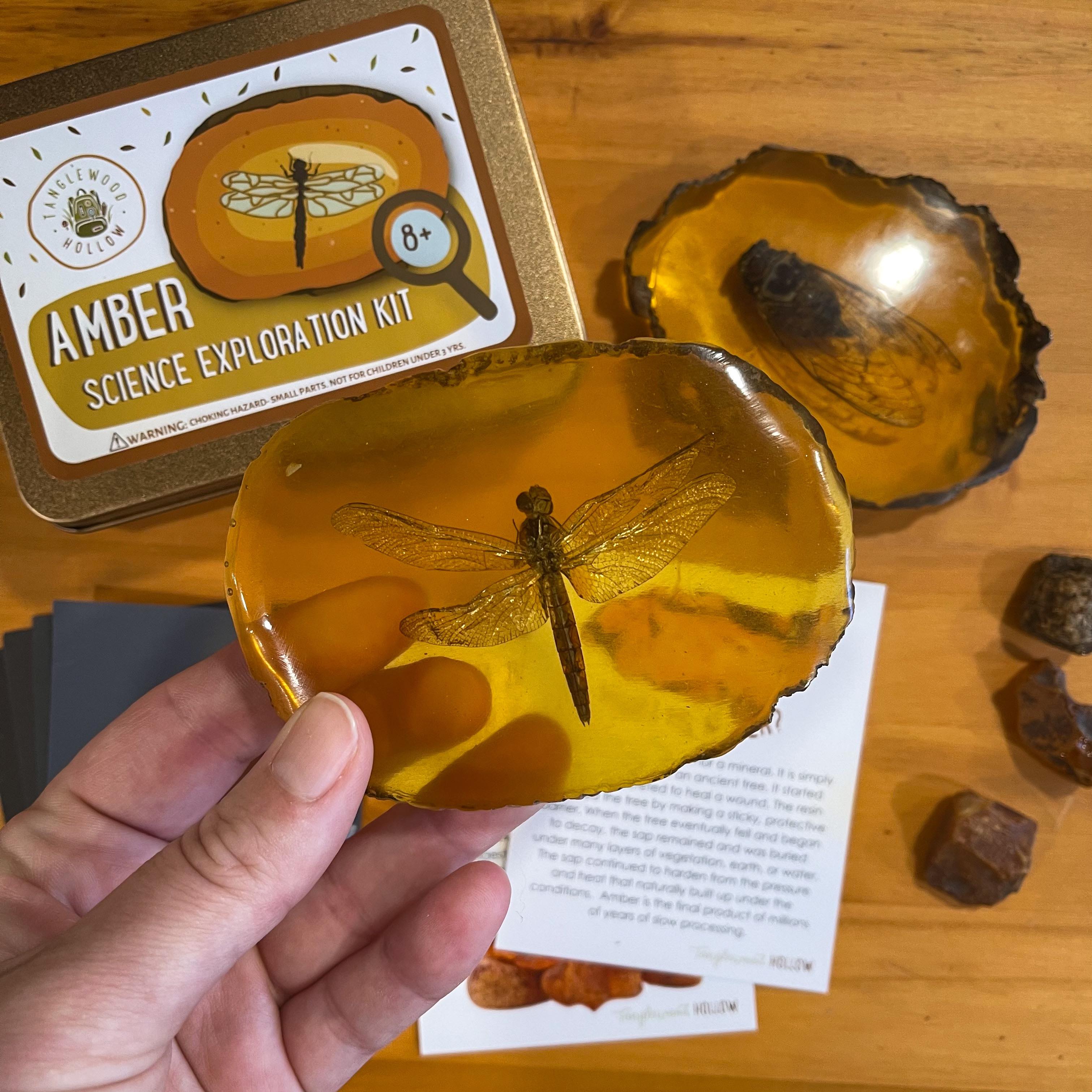 Amber Science Exploration Kit