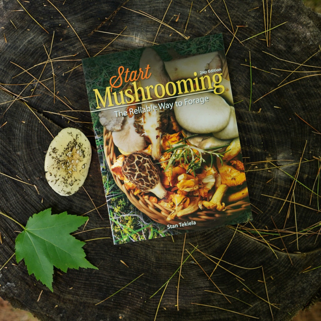 "Start Mushrooming: The Edible Way to Forage" Book