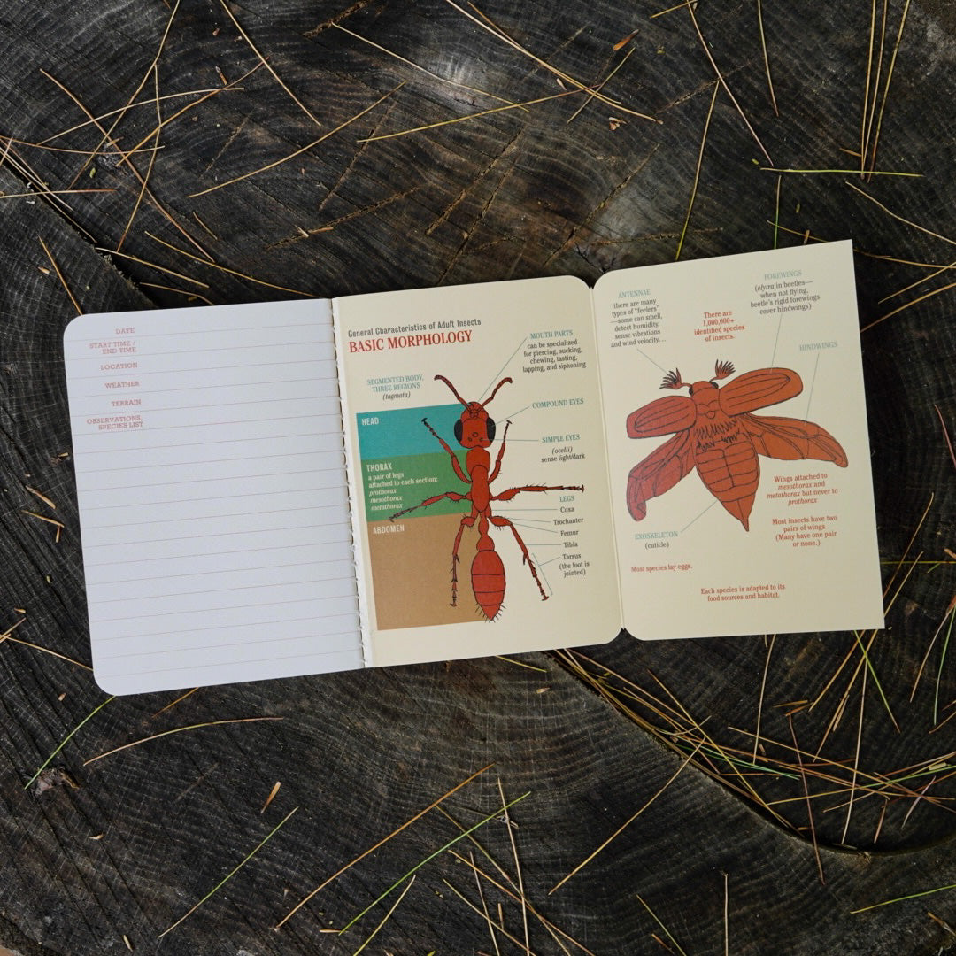 Entomology Naturalist Notebook