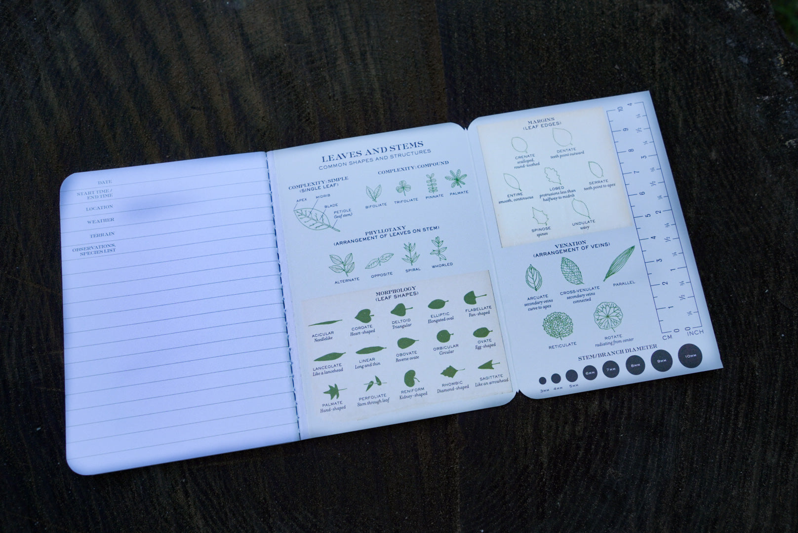 Botany Naturalist's Notebook