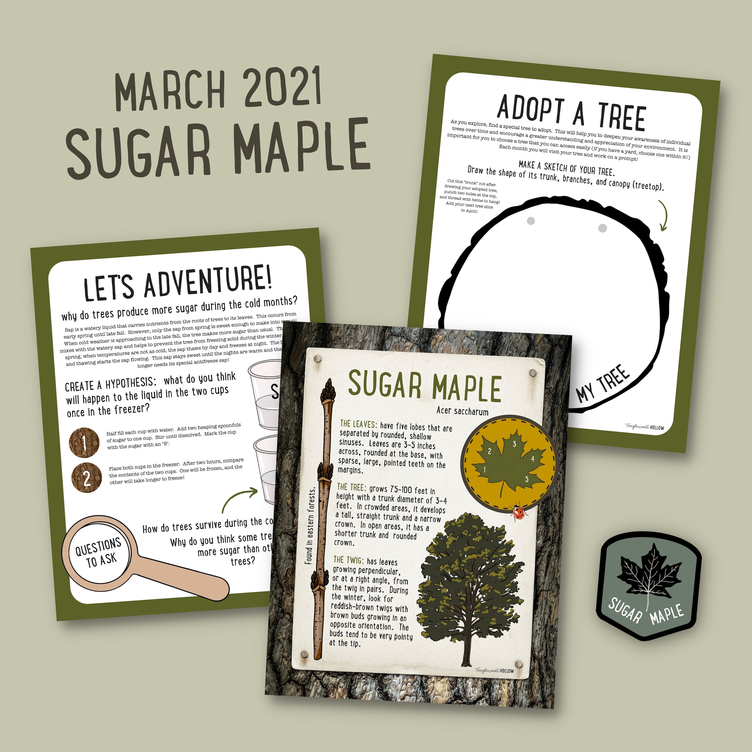 Exploring Sugar Maple - A Digital Guide