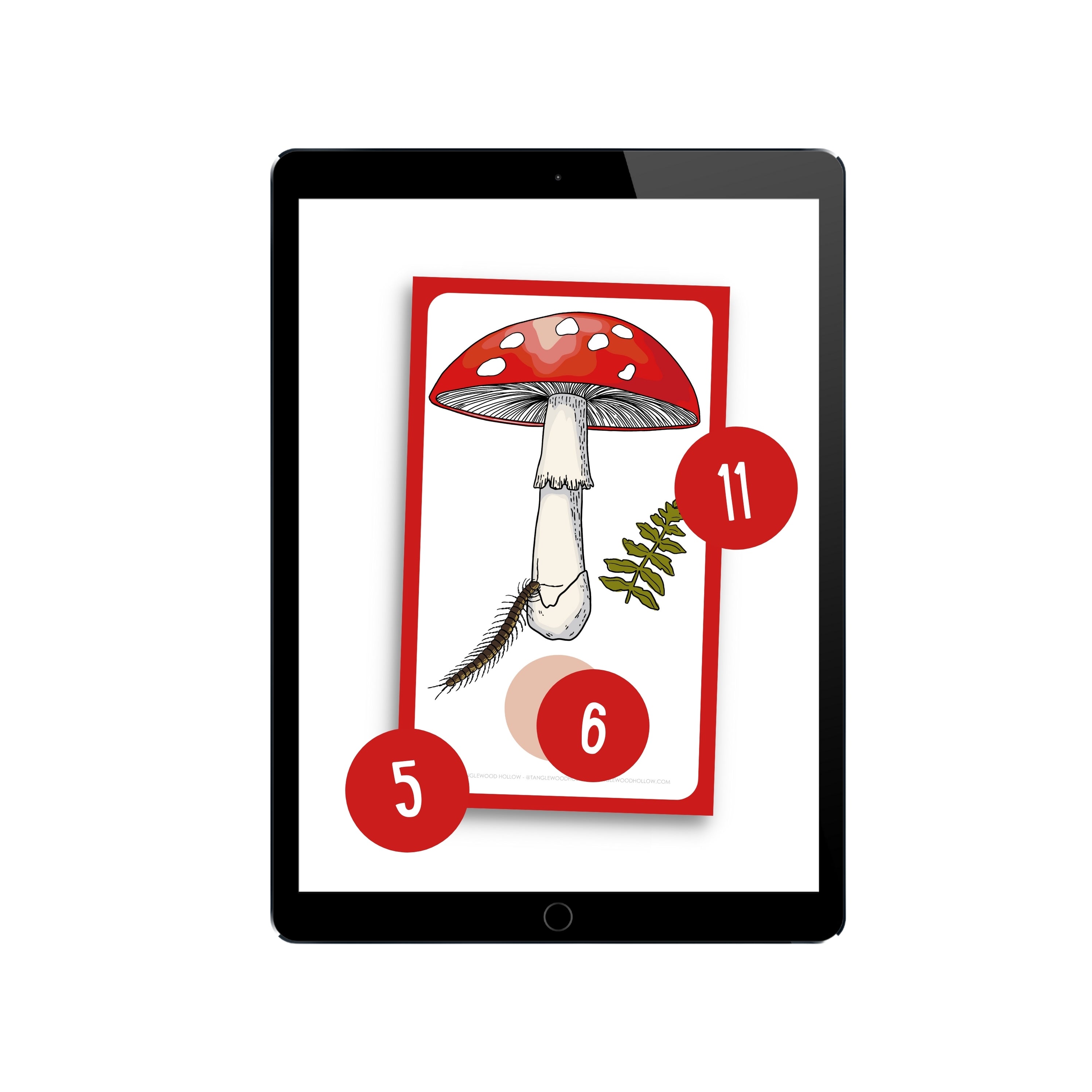 Digital Toadstool Counting Activity