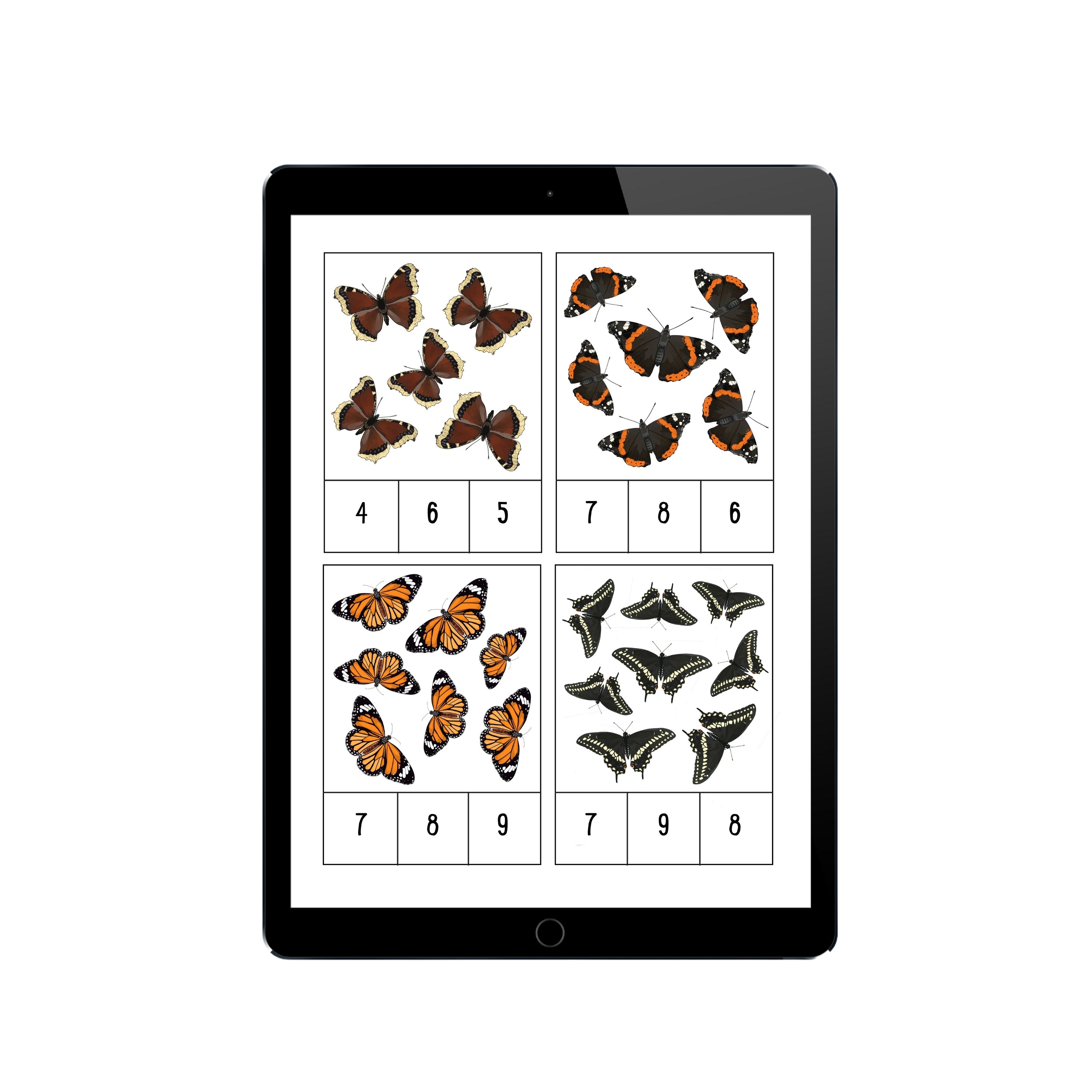 Digital Butterfly Counting Clip Cards