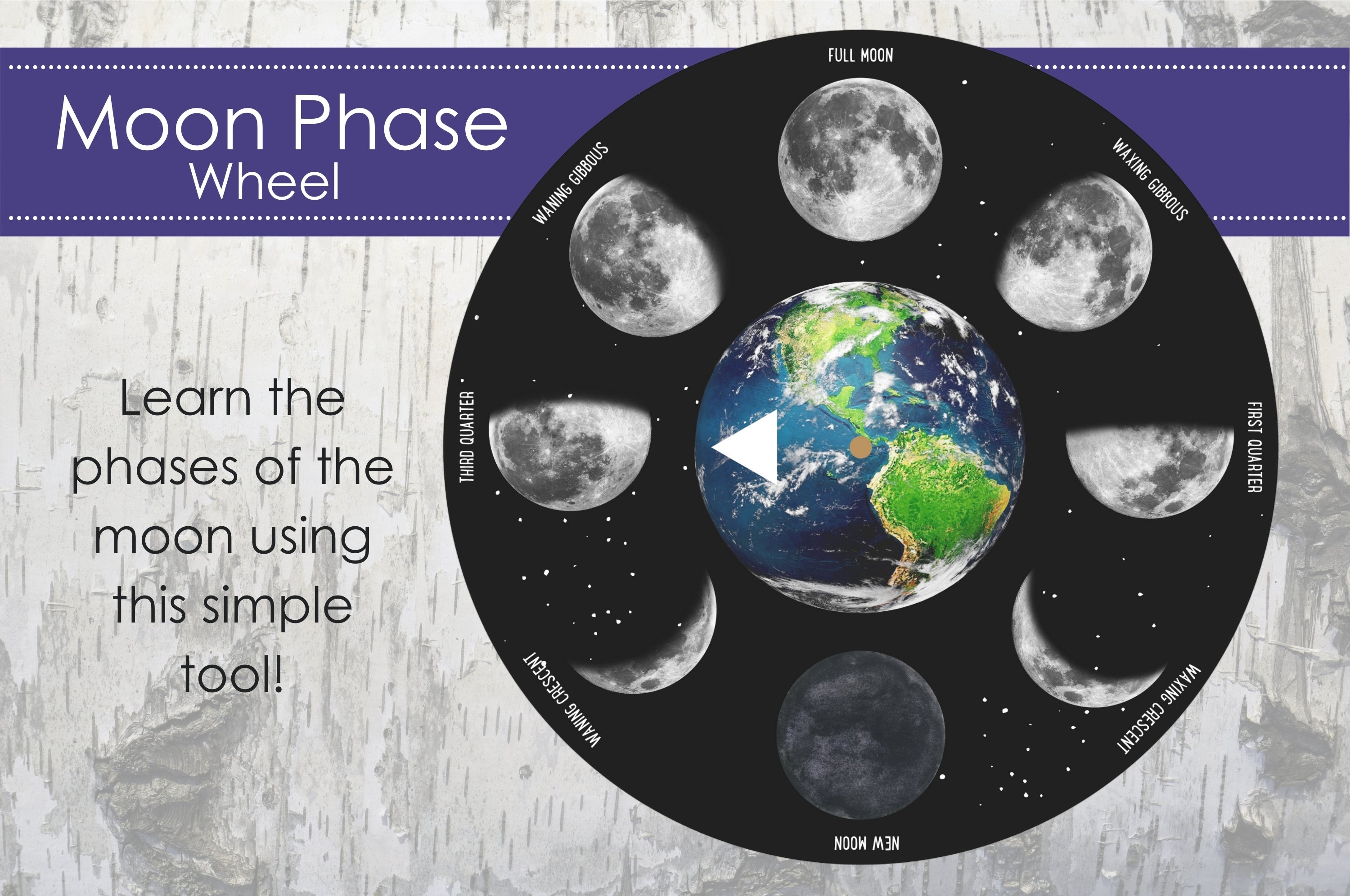 Digital Moon Phase Wheel