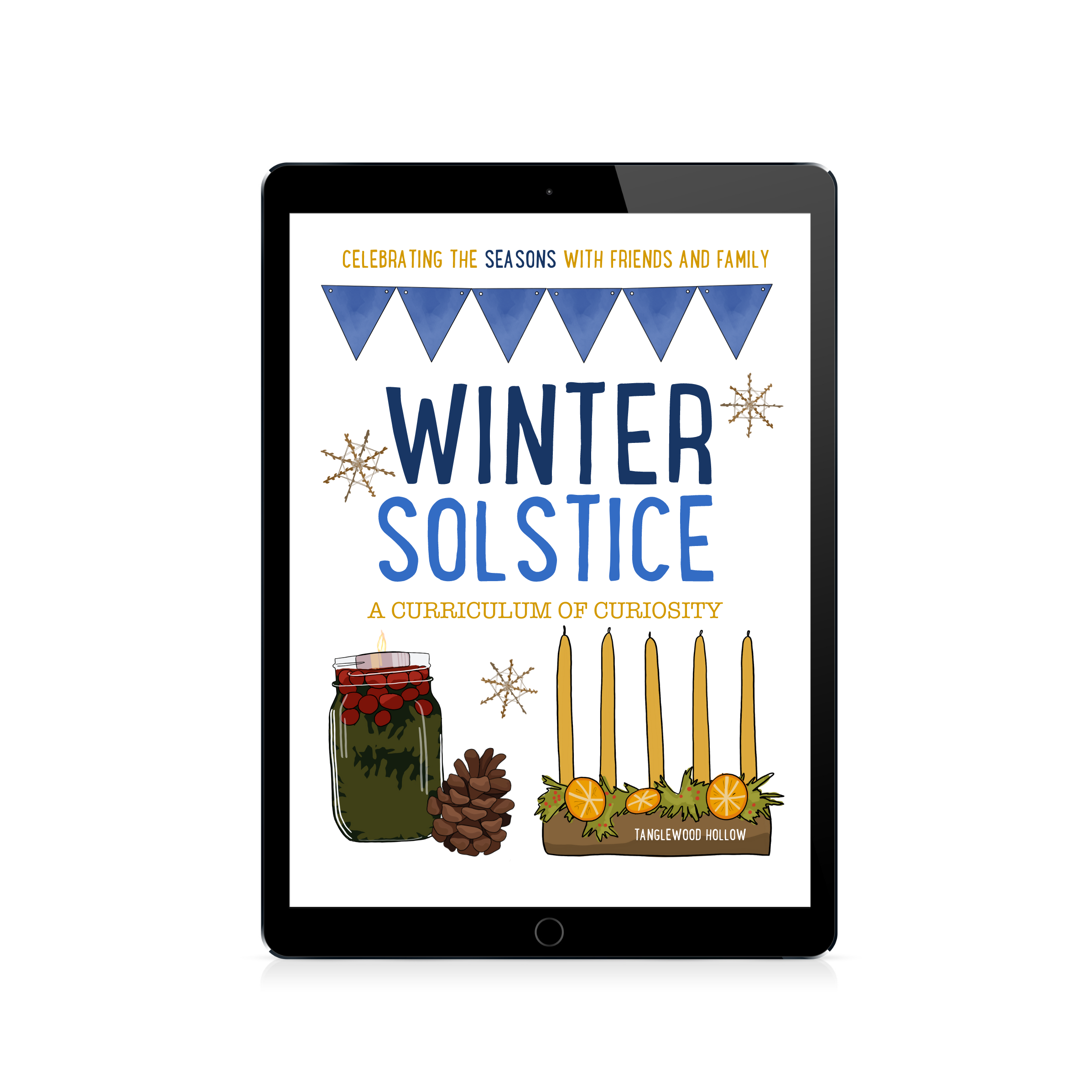 Winter Solstice: A Digital Curriculum of Curiosity