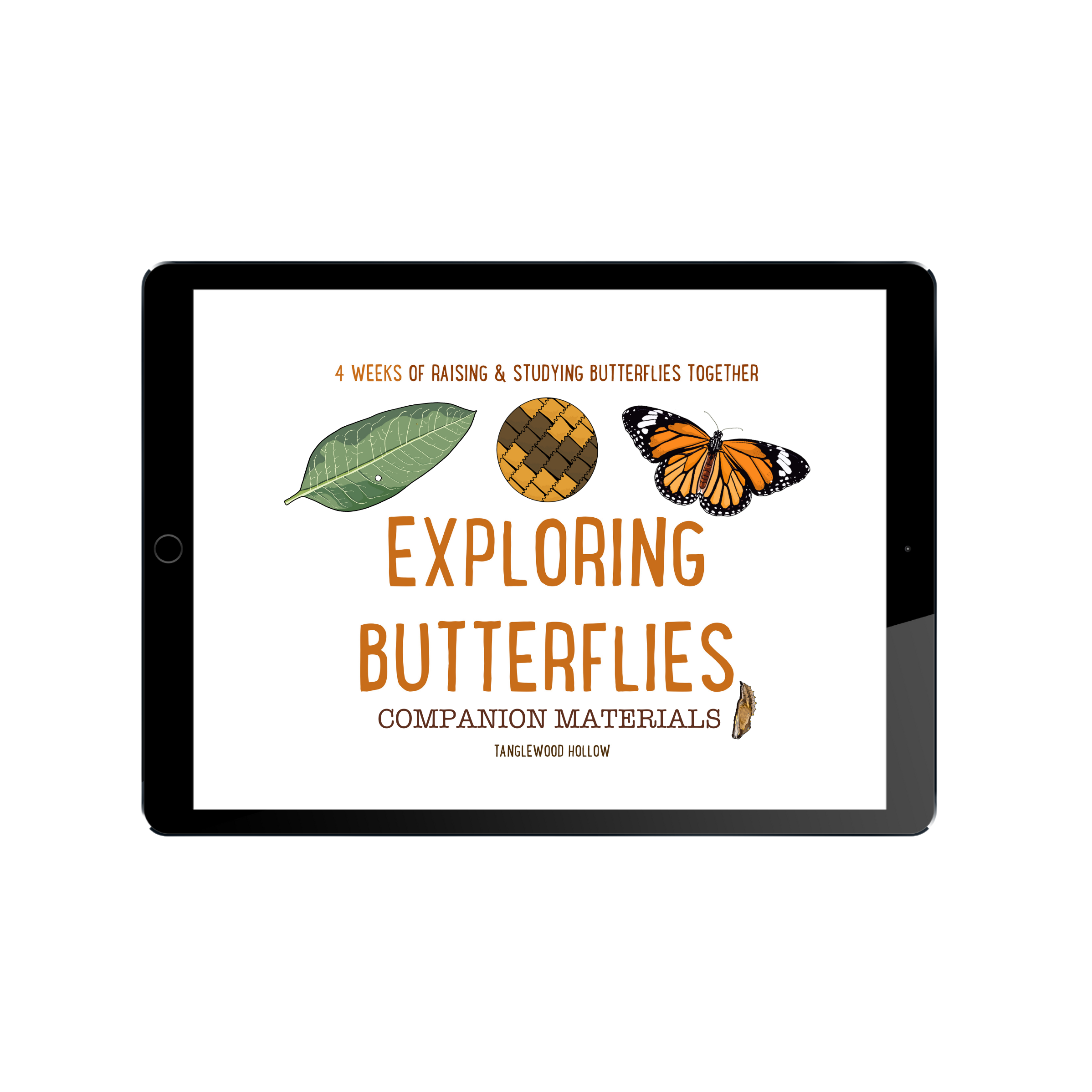 Exploring Butterflies: Digital Companion Materials