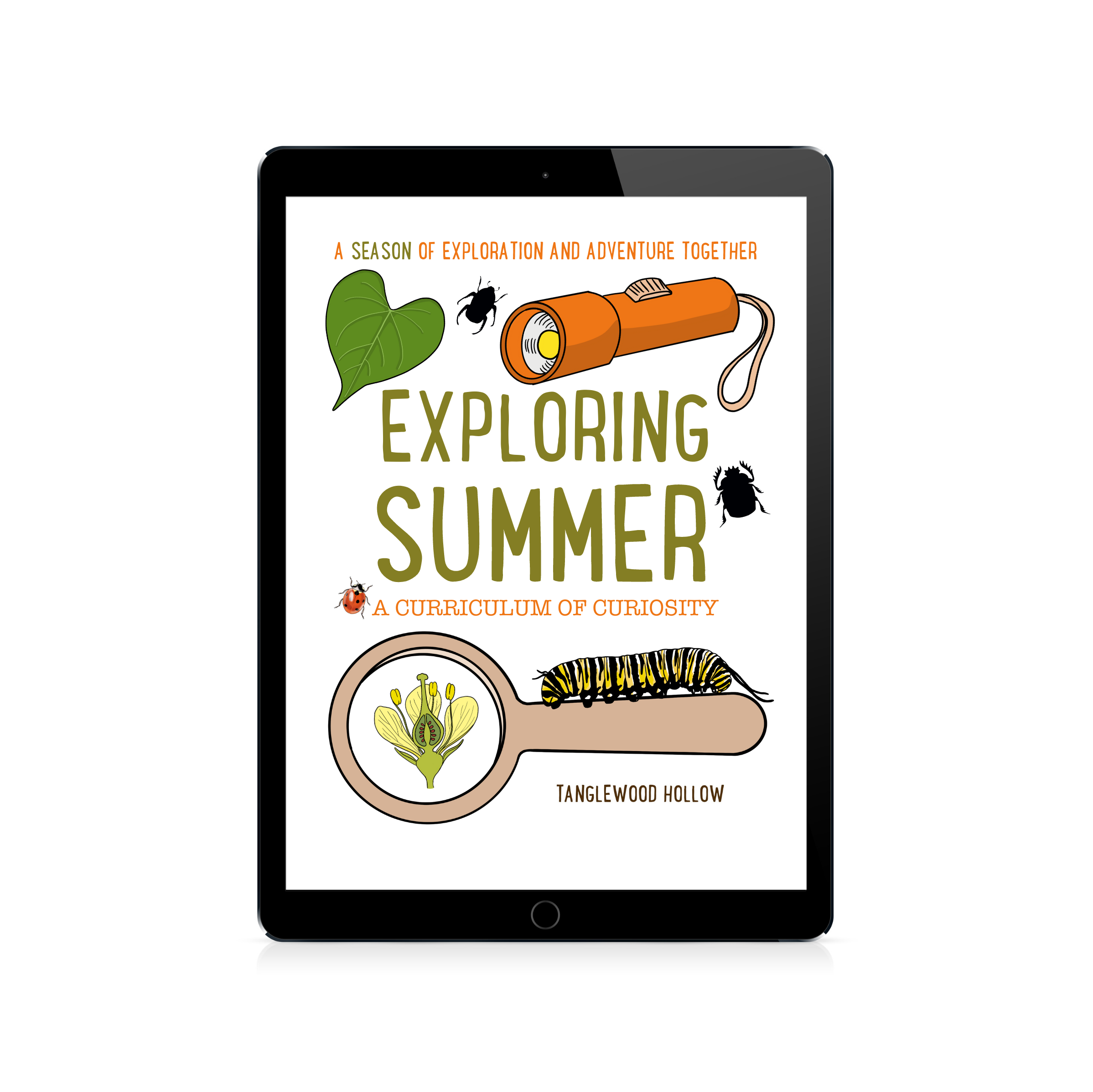 Exploring Summer: A Digital Curriculum of Curiosity