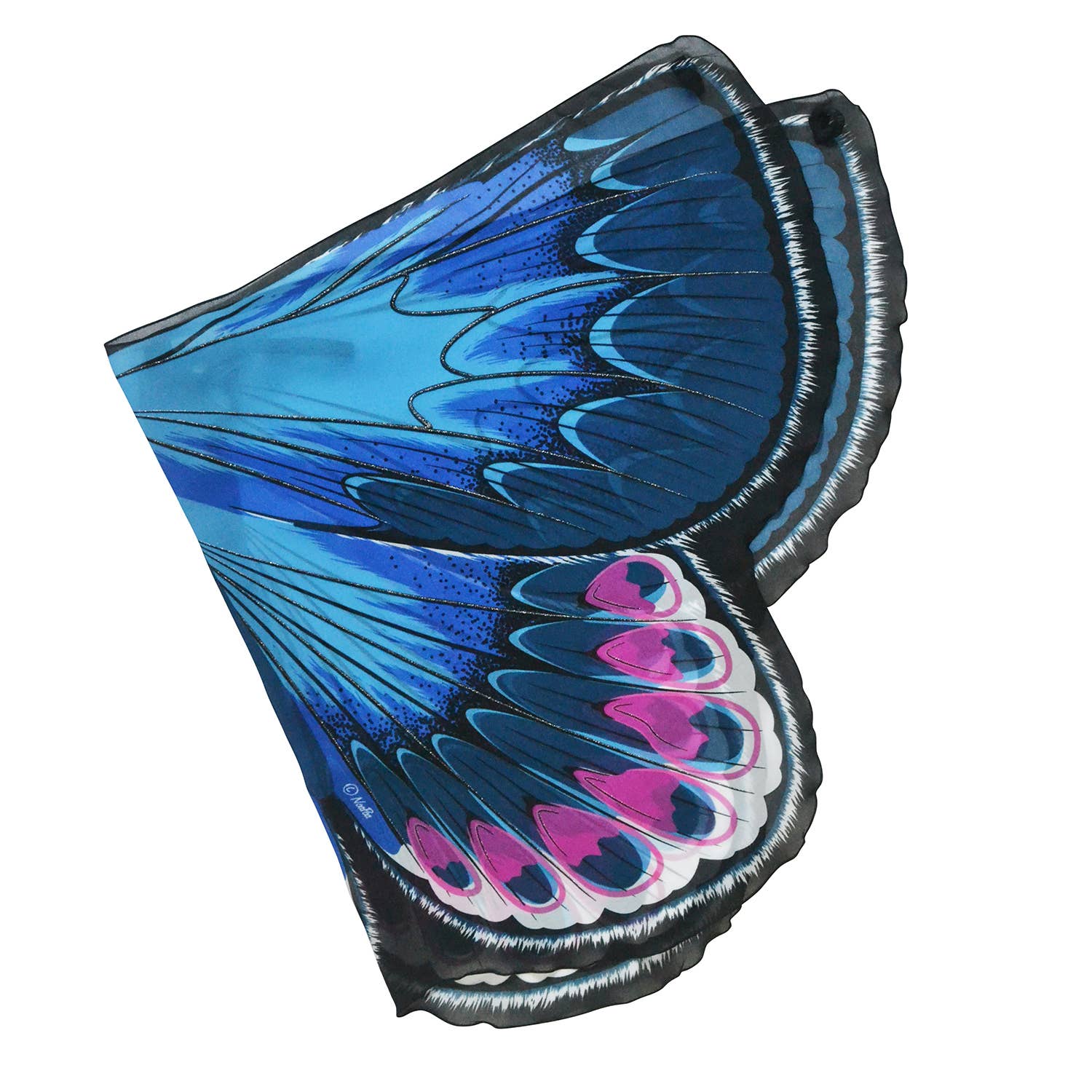 Natural Butterfly & Moth Wings: Karner Blue Butterfly