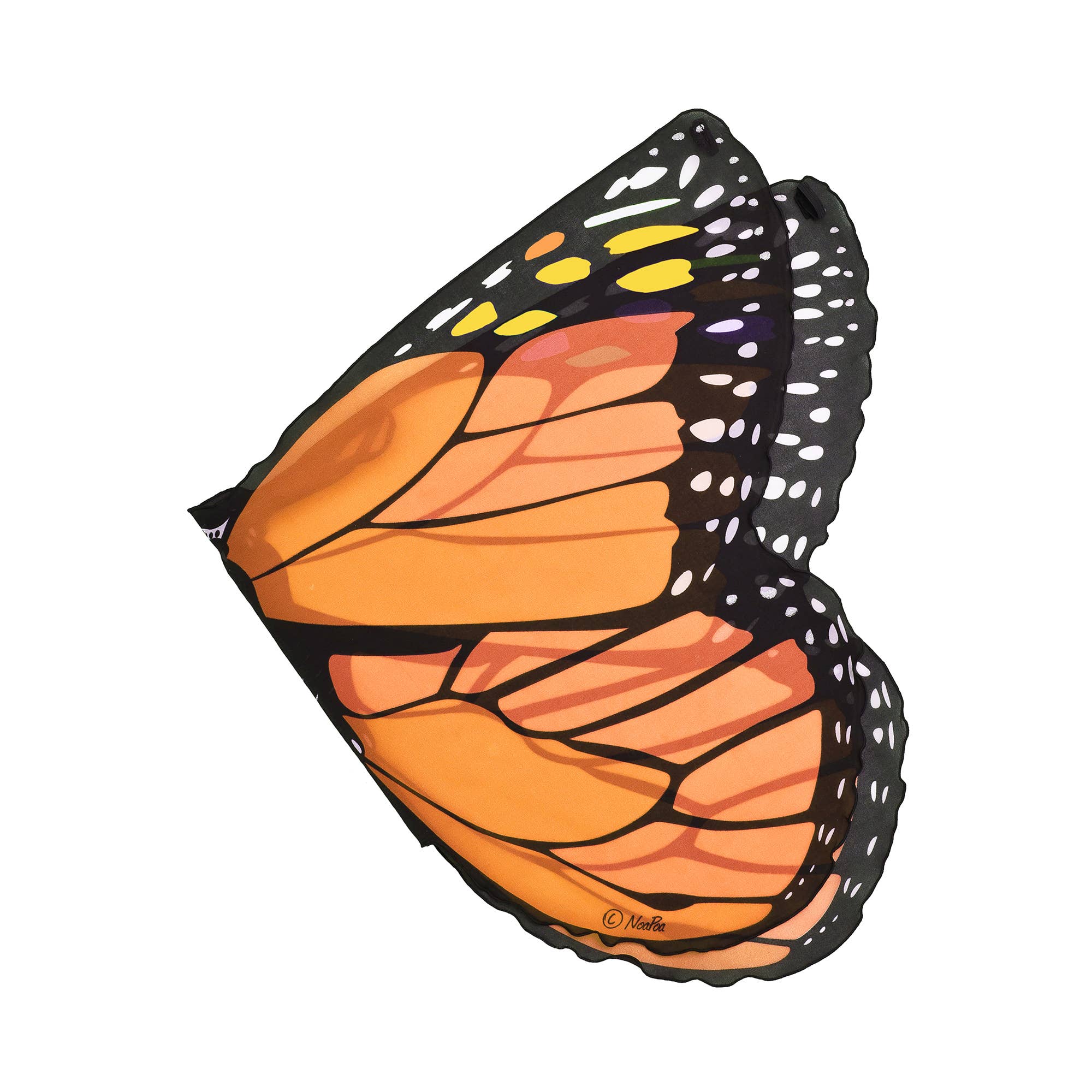 Natural Butterfly & Moth Wings: Monarch Butterfly