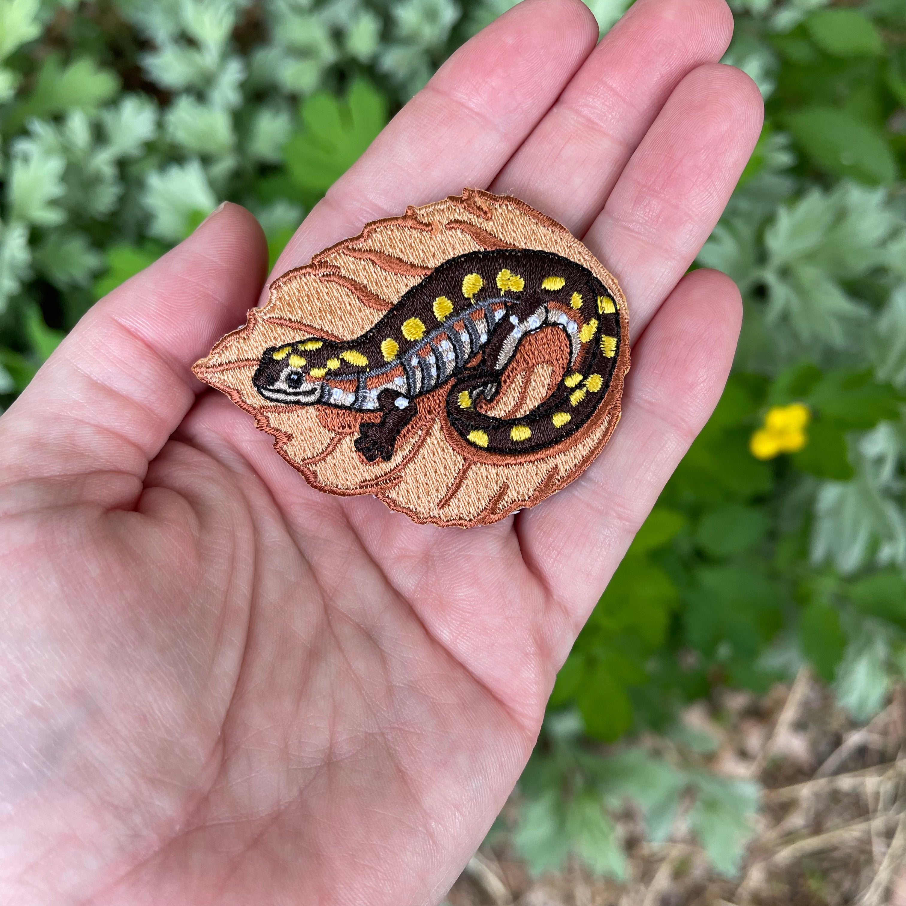 Spotted Salamander Iron-On Patch