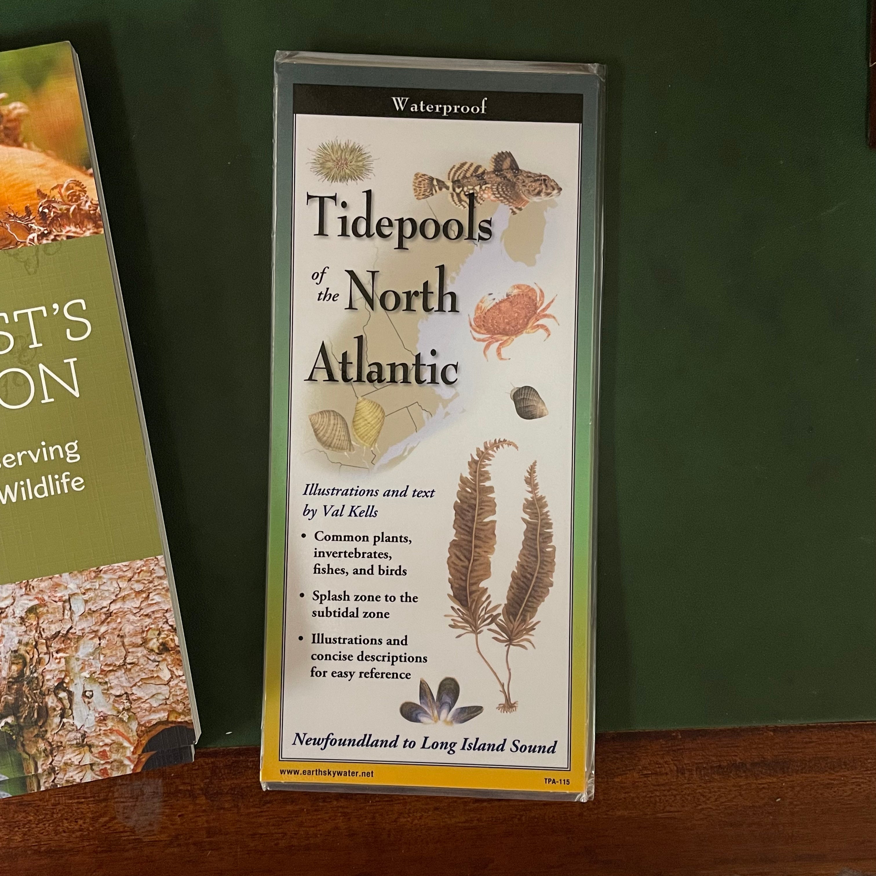 "Tidepools of the North Atlantic" Folding Guide