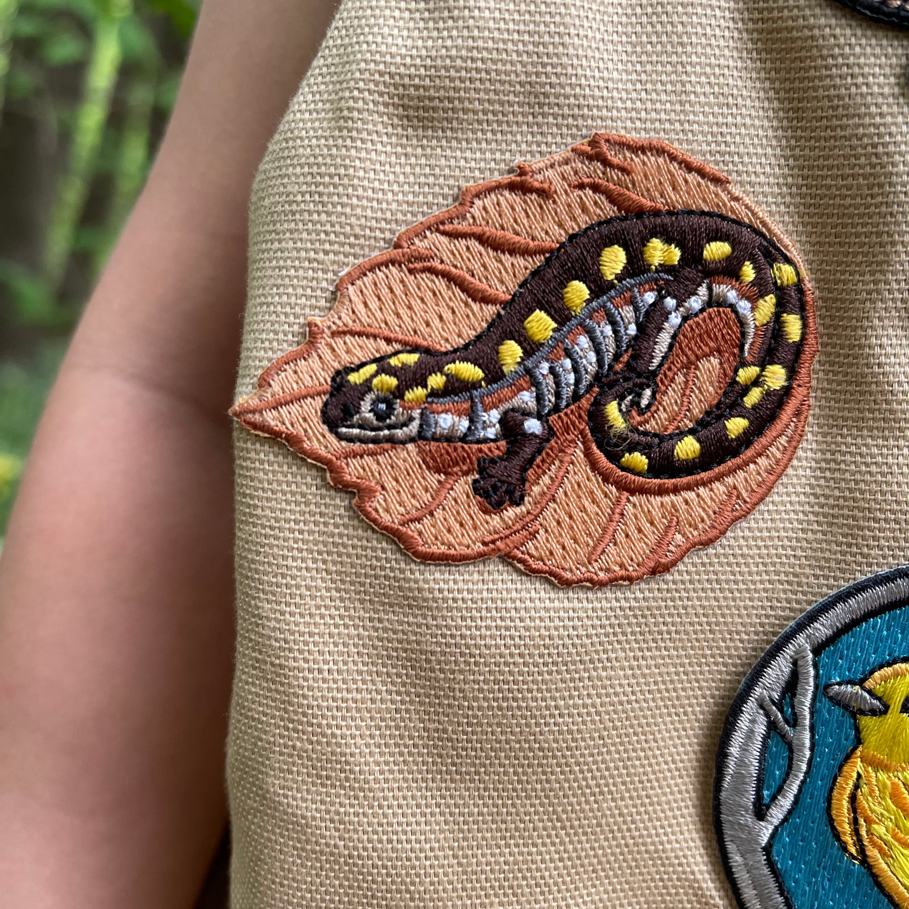 Spotted Salamander Iron-On Patch