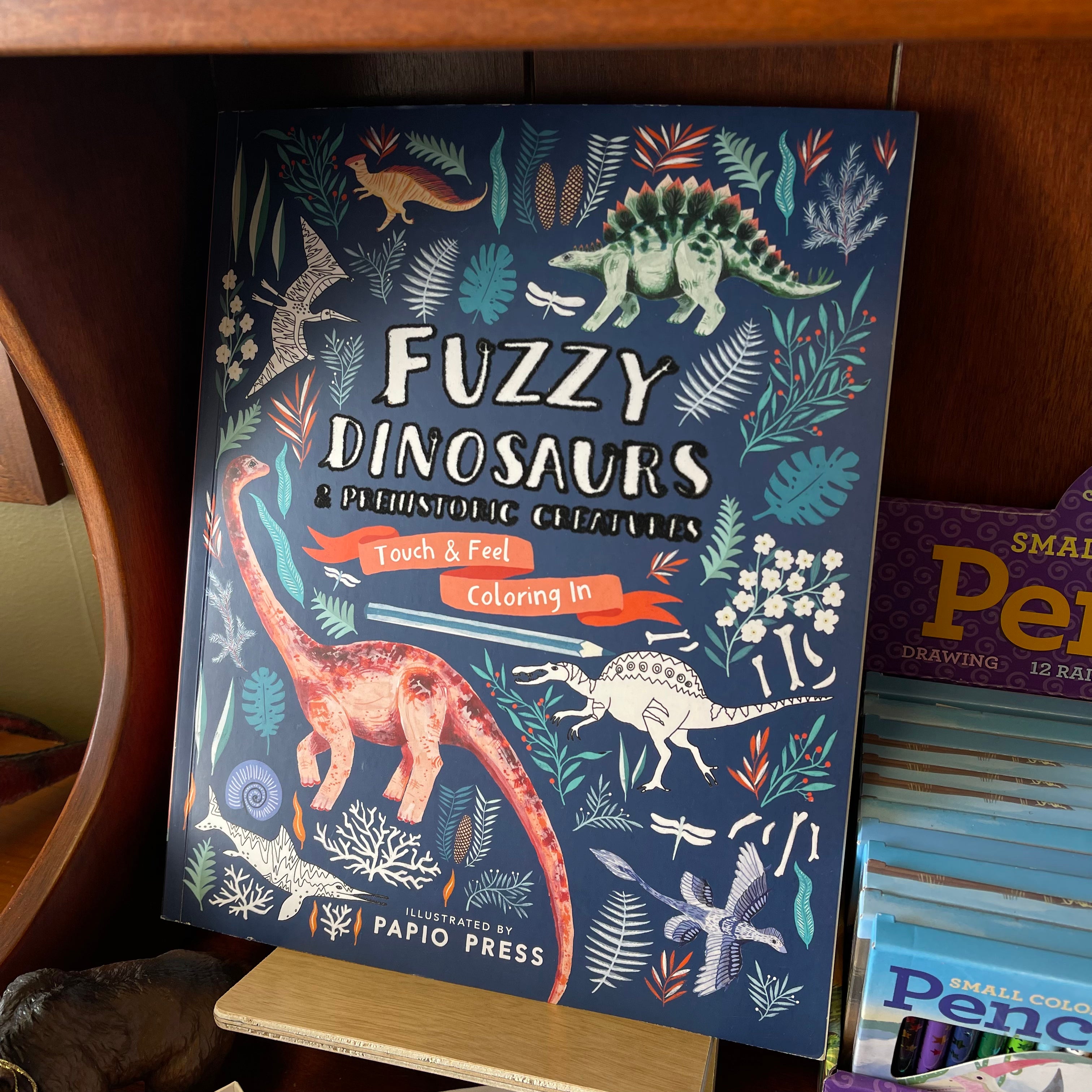 Fuzzy Dinosaurs and Pre-Historic Creatures Coloring Book