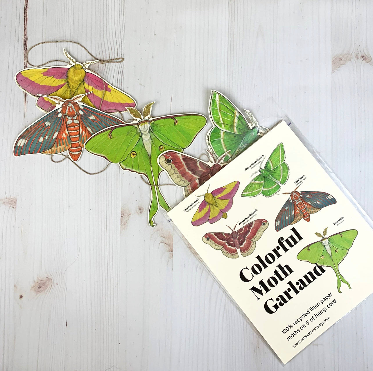 Colorful Illustrated Moth Garland