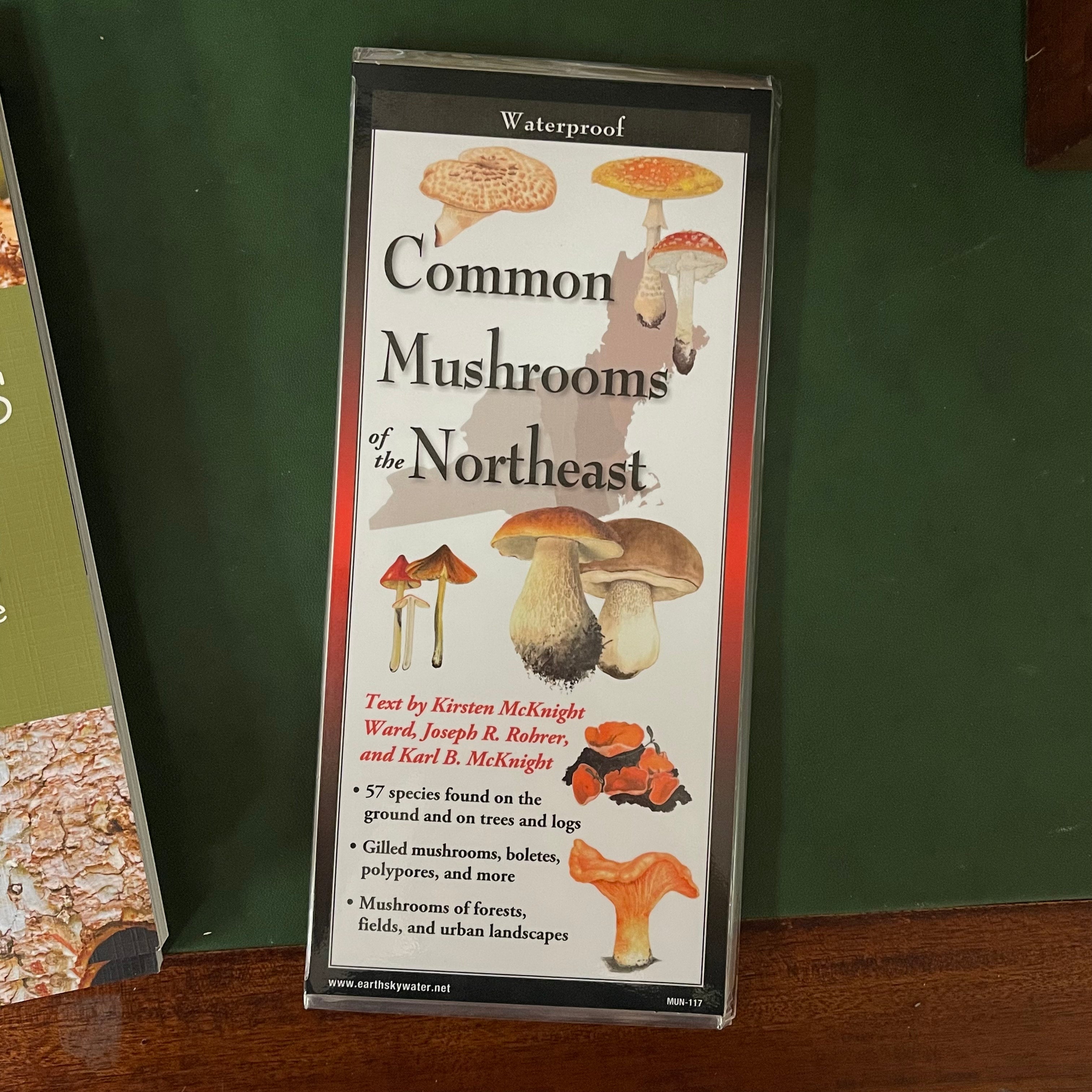 "Common Mushrooms of Eastern North America" Folding Guide