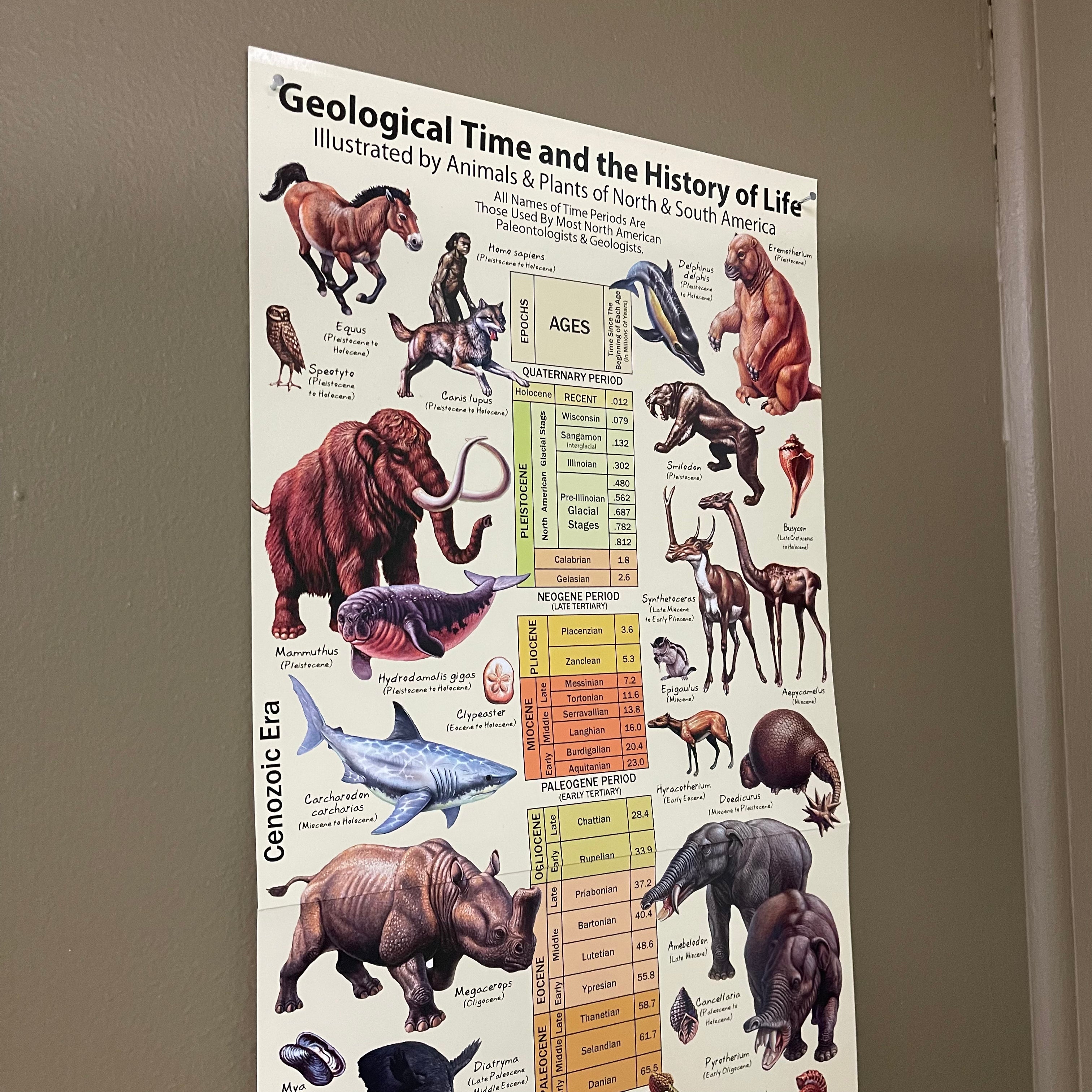 Geological Time and History of Life Poster
