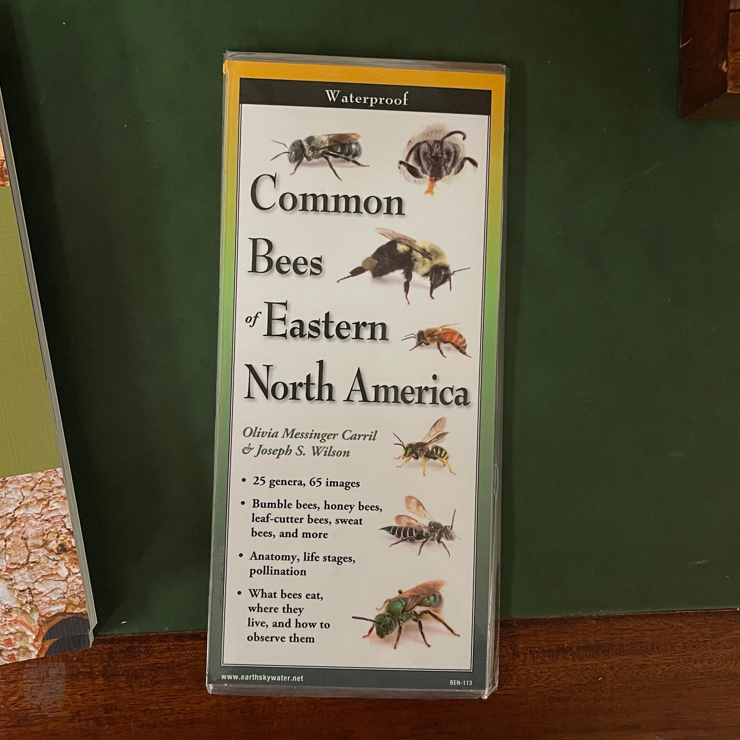 "Common Bees of Eastern North America" Folding Guide