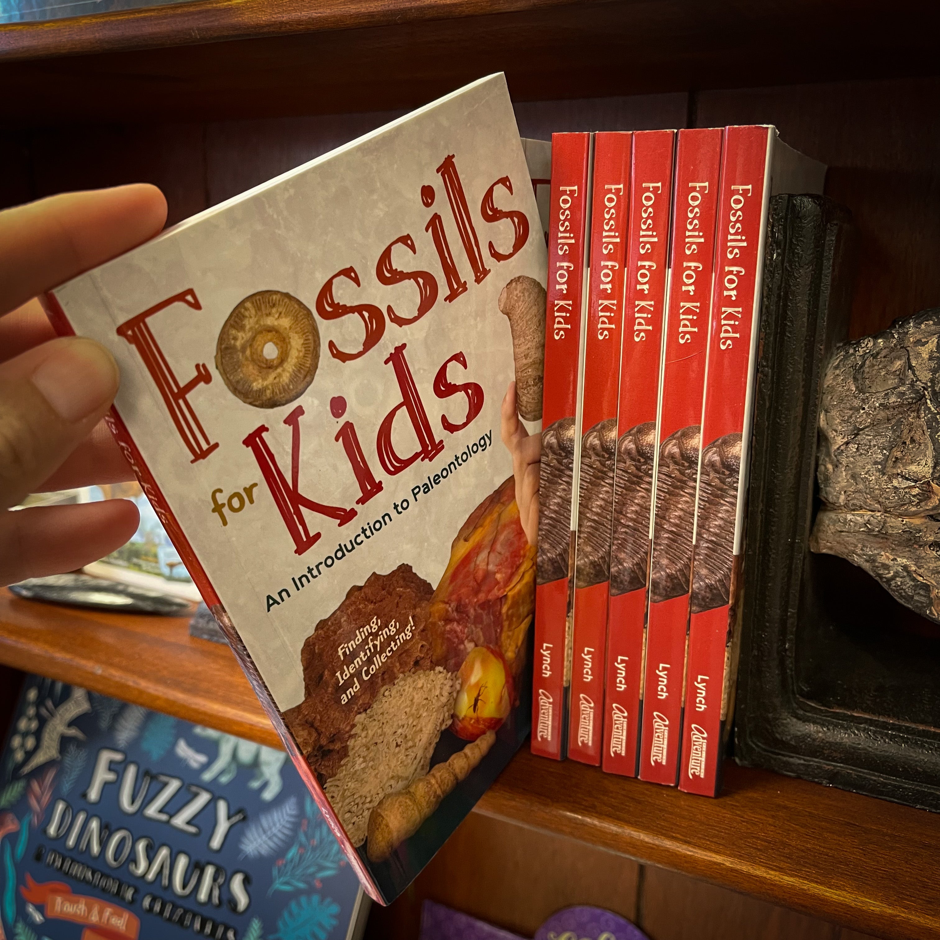 "Fossils for Kids" Book