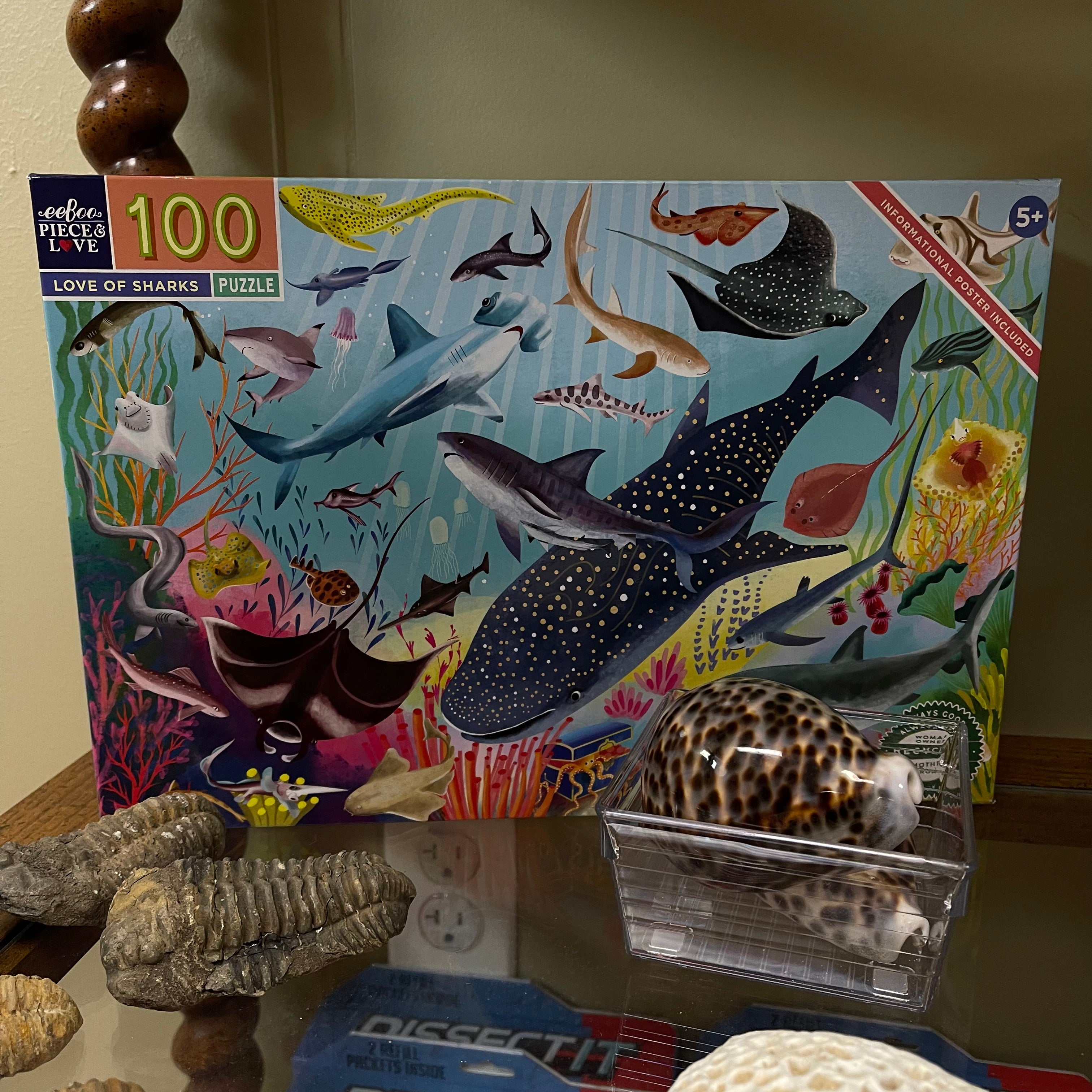 Love of Sharks Puzzle - 100 Piece
